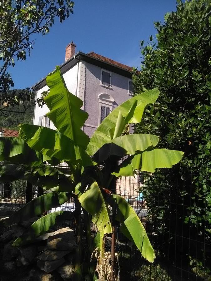 A Deux Pas Du Rheby Ξενοδοχείο Villebois Εξωτερικό φωτογραφία